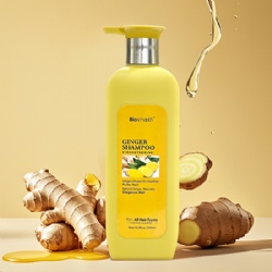 Anti-Hair Fall Hair Loss Shampoo, Anti Hair Loss Shampoos Ginger Hair Growth Shampoo and conditioner